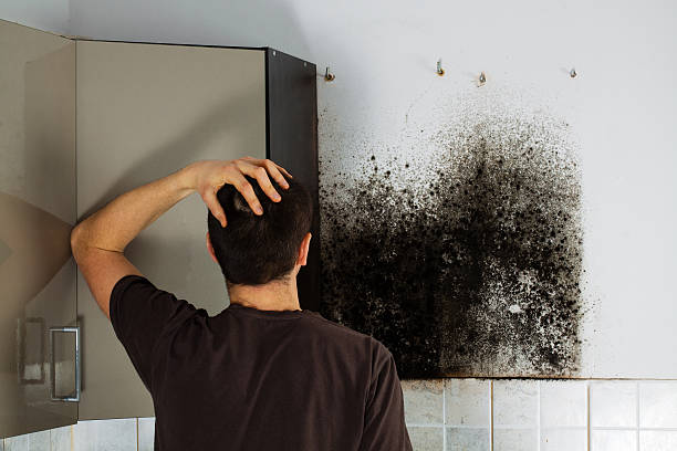 Best Mold Testing  in Ben Wheeler, TX